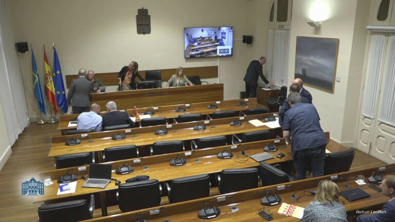 Junta General Principado de Asturias (JGPA) | September 1, 2025 | Comisión de investigación sobre accidente en la mina de Cerredo (I)