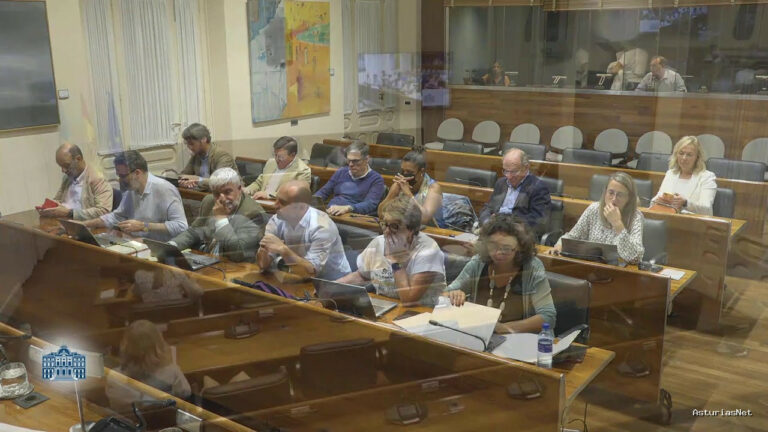 Junta General Principado de Asturias (JGPA) | September 18, 2025 | Comisión de Ciencia, Industria y Empleo