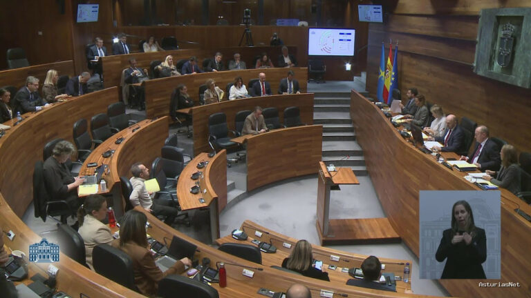 Junta General Principado de Asturias (JGPA) | November 5, 2025 | Pleno