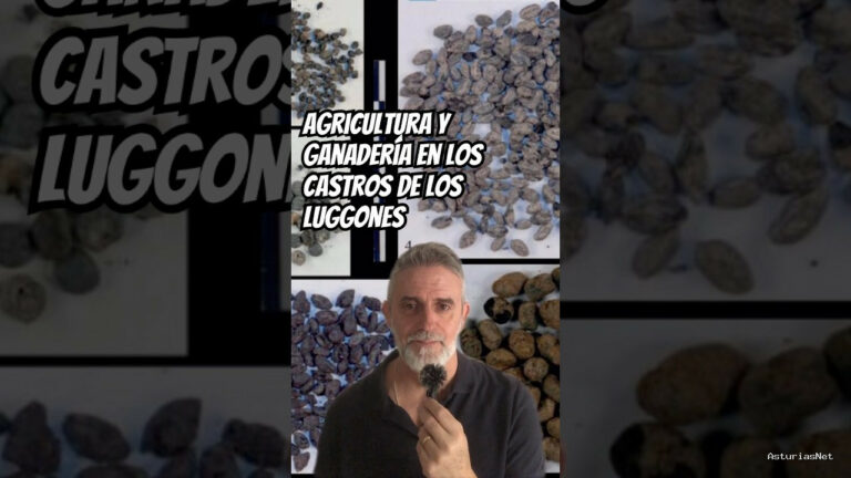 Astures | November 9, 2025 | Qué cultivaban y qué ganado criaban en la Edad del Hierro en los castros astures