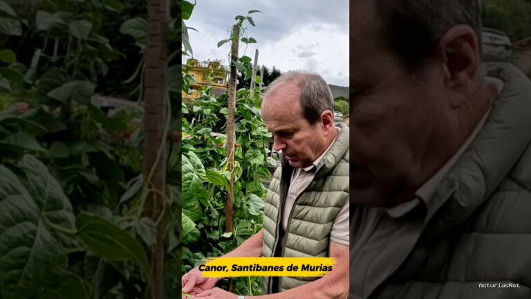 Viajar desde Asturias | November 10, 2025 | Canor se jubiló pero no para de trabajar; nos enseña su huerta y a lo que se dedica en su jubilación
