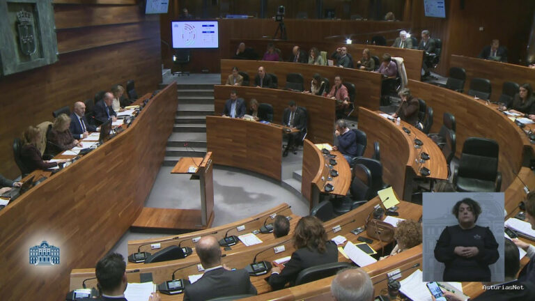 Junta General Principado de Asturias (JGPA) | November 19, 2025 | Pleno
