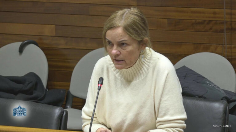 Junta General Principado de Asturias (JGPA) | November 17, 2025 | Comisión de Investigación accidente en la mina de Cerredo (I)