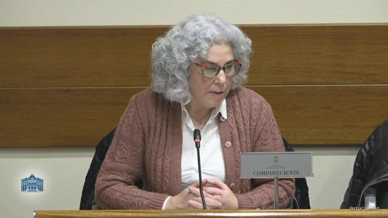 Junta General Principado de Asturias (JGPA) | November 26, 2025 | Comisión de Cultura, Política Llingüística y Deporte