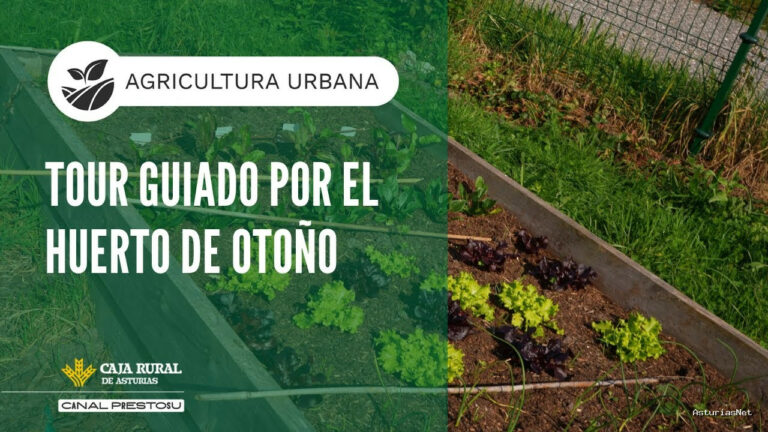 Prestosu | November 12, 2025 | Canal Prestosu | Agricultura urbana: tour guiado por el huerto de otoño