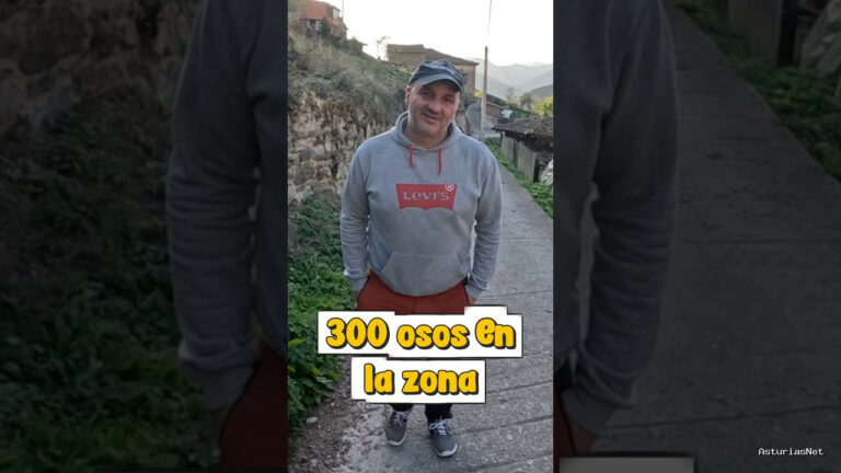 Viajar desde Asturias | November 9, 2025 | Hay 300 osos en la zona occidental cantábrica; Dani nos habla del problema de los osos
