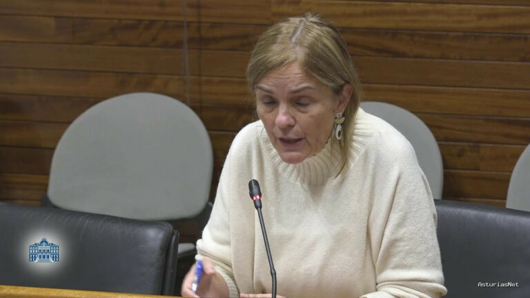 Junta General Principado de Asturias (JGPA) | November 18, 2025 | Comisión de Investigación accidente en la mina de Cerredo (II)
