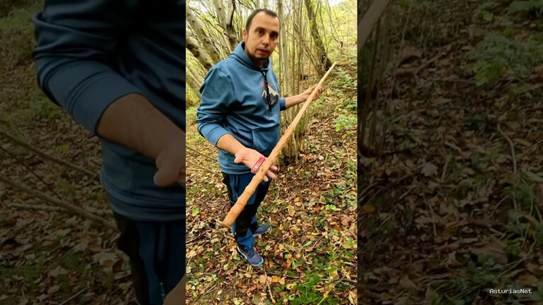 Viajar desde Asturias | November 3, 2025 | Hoy vamos a aprender cómo se hace un palu picau con una rama de avellano;