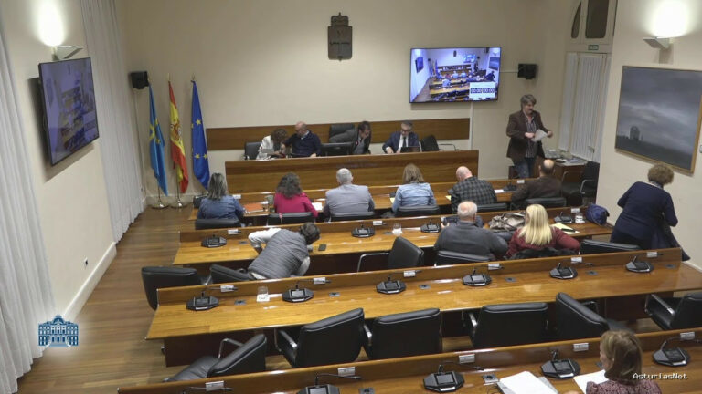 Junta General Principado de Asturias (JGPA) | November 14, 2025 | Comisión de Educación