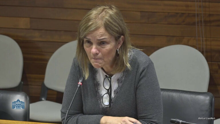 Junta General Principado de Asturias (JGPA) | November 3, 2025 | Comisión de Investigación accidente en la mina de Cerredo (I)