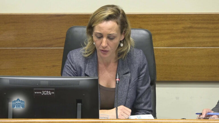 Junta General Principado de Asturias (JGPA) | November 11, 2025 | Comisión de Ordenación de Territorio, Urbanismo, Vivienda y Derechos Ciudadanos