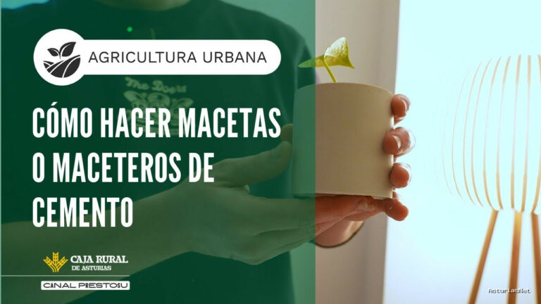 Prestosu | December 17, 2025 | Canal Prestosu | Agricultura urbana: cómo hacer maceteros de cemento