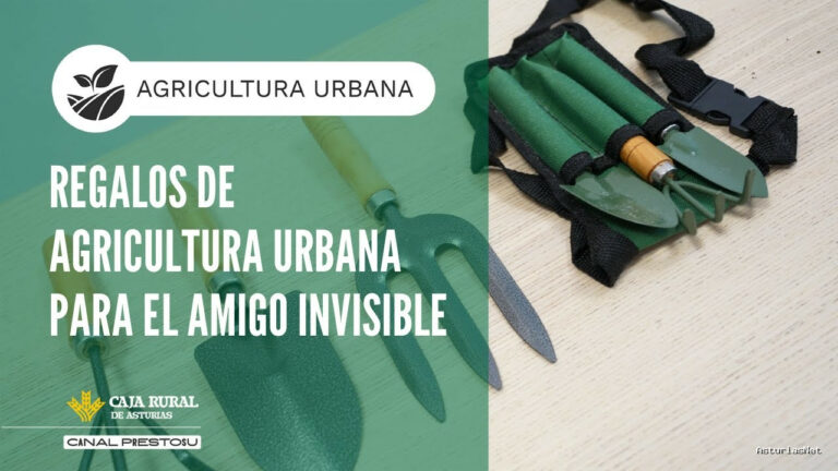 Prestosu | December 10, 2025 | Canal Prestosu | Agricultura urbana: ideas de regalos para amantes de la Urbana