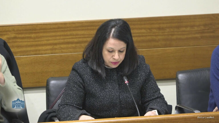 Junta General Principado de Asturias (JGPA) | January 16, 2026 | Comisión de Investigación sobre el accidente en la mina de Cerredo (I)