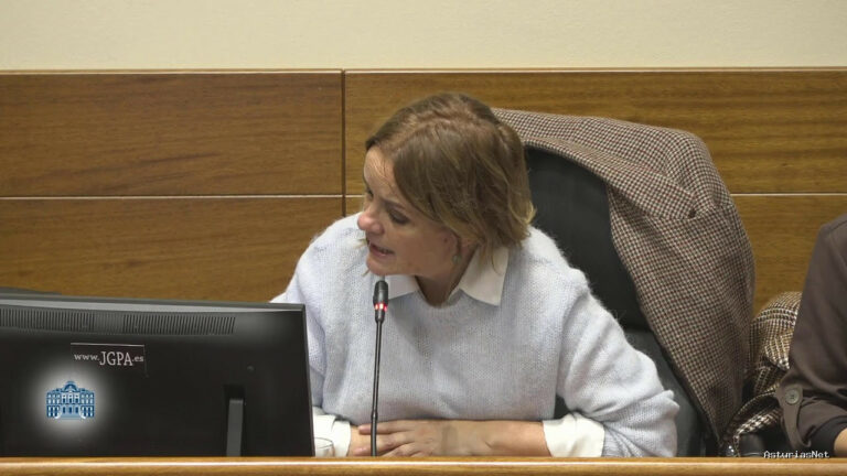Junta General Principado de Asturias (JGPA) | January 15, 2026 | Comisión de Investigación sobre el accidente en la mina de Cerredo (III)