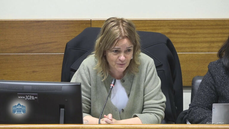 Junta General Principado de Asturias (JGPA) | January 16, 2026 | Comisión de Investigación sobre el accidente en la mina de Cerredo (I)