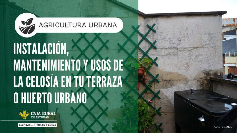 Prestosu | January 7, 2026 | Canal Prestosu | Agricultura urbana: instalación, mantenimiento y usos de la celosía en tu terraza