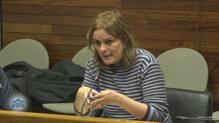 Junta General Principado de Asturias (JGPA) | January 15, 2026 | Comisión de Investigación sobre el accidente en la mina de Cerredo (II)