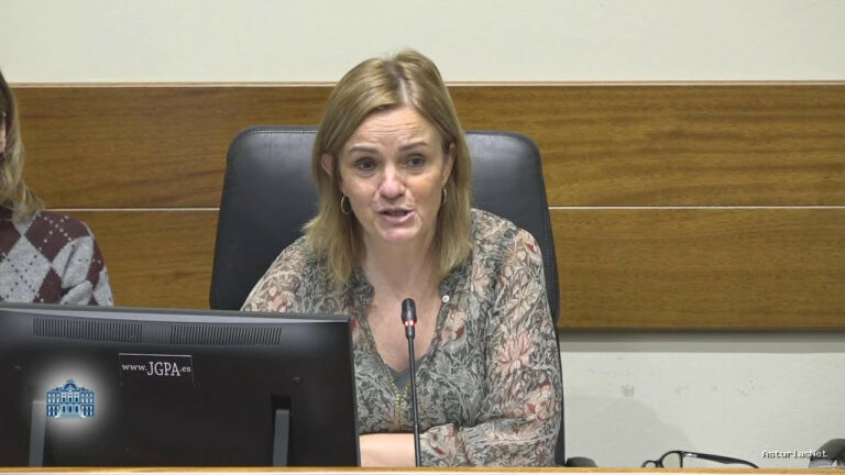 Junta General Principado de Asturias (JGPA) | January 12, 2026 | Comisión de Investigación sobre el accidente en la mina de Cerredo (II)