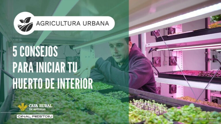 Prestosu | February 25, 2026 | Canal Prestosu | Agricultura urbana: 5 consejos para iniciar tu huerto de interior