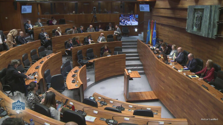 Junta General Principado de Asturias (JGPA) | February 17, 2026 | Pleno