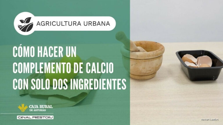 Prestosu | February 18, 2026 | Canal Prestosu | Agricultura urbana: cómo hacer un complemento de calcio con solo dos ingredientes