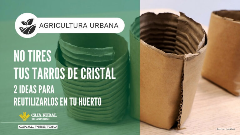 Prestosu | March 18, 2026 | Canal Prestosu | Agricultura urbana: 2 ideas para reutilizar tarros de cristal de tu huerto urbano