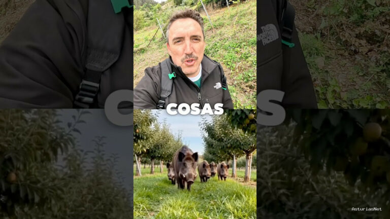Viajar desde Asturias | April 22, 2026 | Una de esas cosas curiosas que encontramos en el campo; una alarma para jabalís