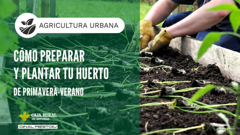 Prestosu | April 15, 2026 | Canal Prestosu | Agricultura urbana: cómo preparar tu huerto para la primavera/verano