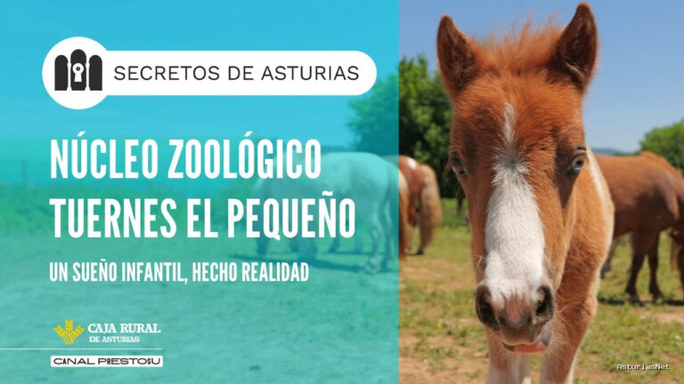 Prestosu | July 21, 2026 | Canal Prestosu | Secretos de Asturias: Núcleo zoológico Tuernes el pequeño