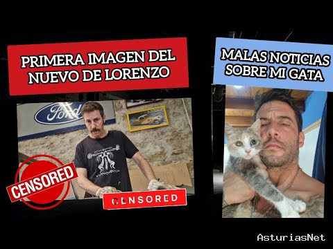 Viviendo con Roma | July 16, 2026 | Primera Imagen DEL Nuevo DE Lorenzo y UNA Mala Noticia Sobre MI Gata… / Capítulo 41