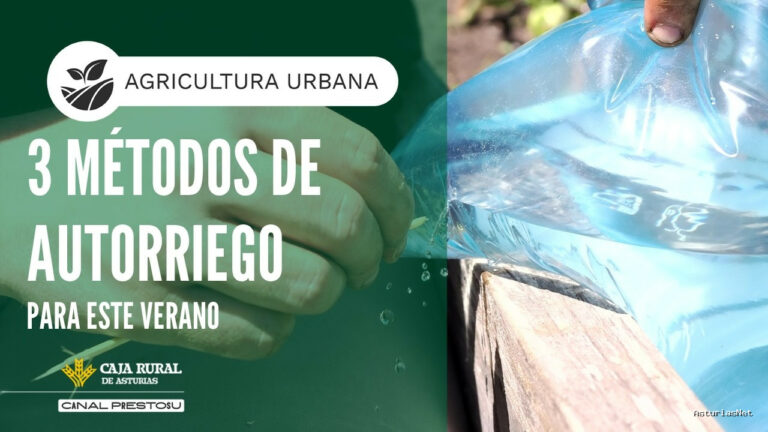 Prestosu | August 12, 2026 | Canal Prestosu | Agricultura urbana: 3 métodos de autorriego para este verano