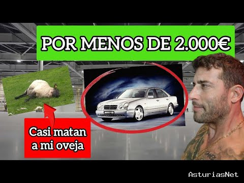 Viviendo con Roma | September 3, 2026 | Coche por menos de 2.000€ para Cruzar España… / Casi Matan a mi oveja… / Capítulo 46