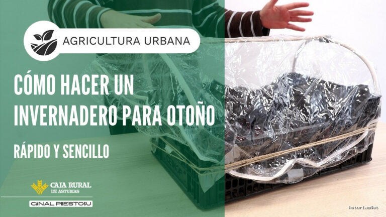 Prestosu | September 16, 2026 | Canal Prestosu | Agricultura urbana: cómo hacer un para