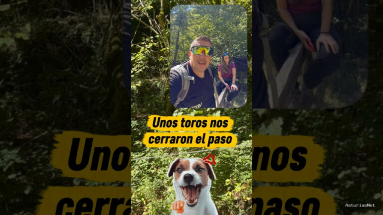 Viajar desde Asturias | September 20, 2026 | Unos toros nos cierran el paso en una ruta de senderismo en Asturias
