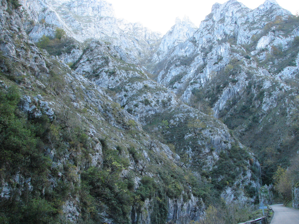 Paredes calizas verticales de la garganta del Sella