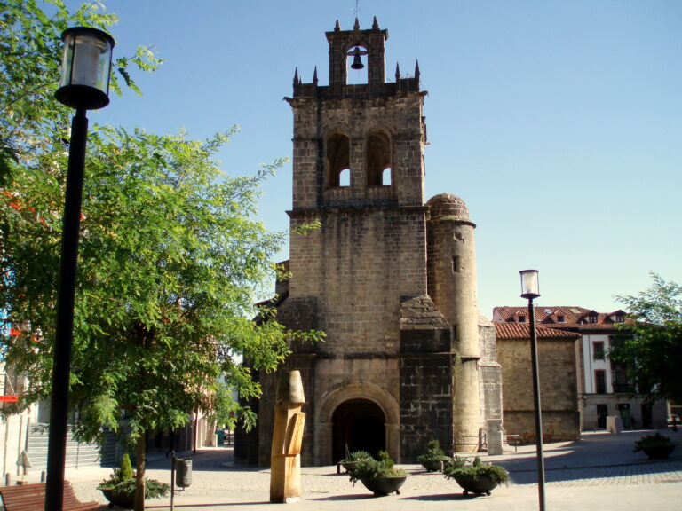 Colegiata de Santa María la Mayor, Salas
