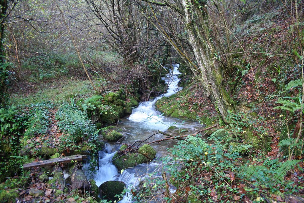 Río Pigüeña