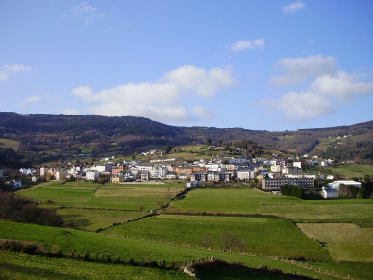 Vista general de Boal