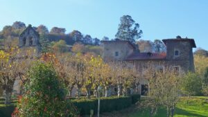 Bimenes, Asturias: guía del concejo