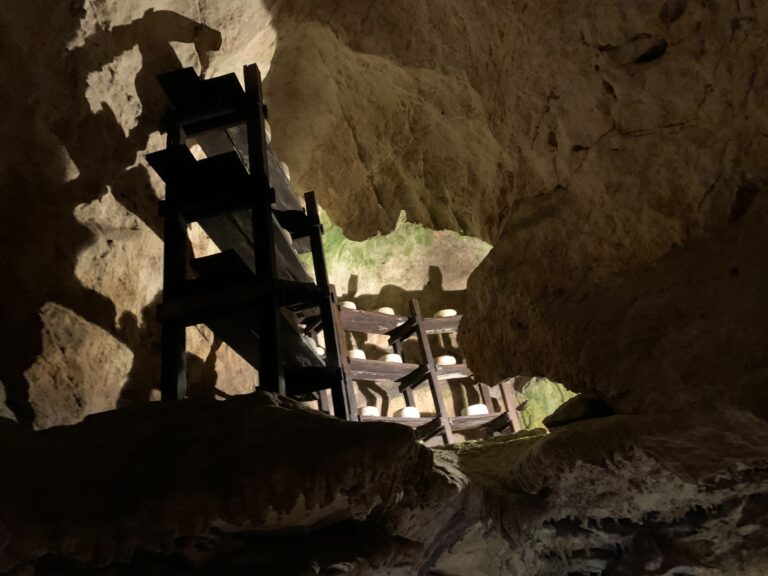 Los quesos que maduran en cuevas de alta montaña: Cabrales y Gamonéu del Puertu