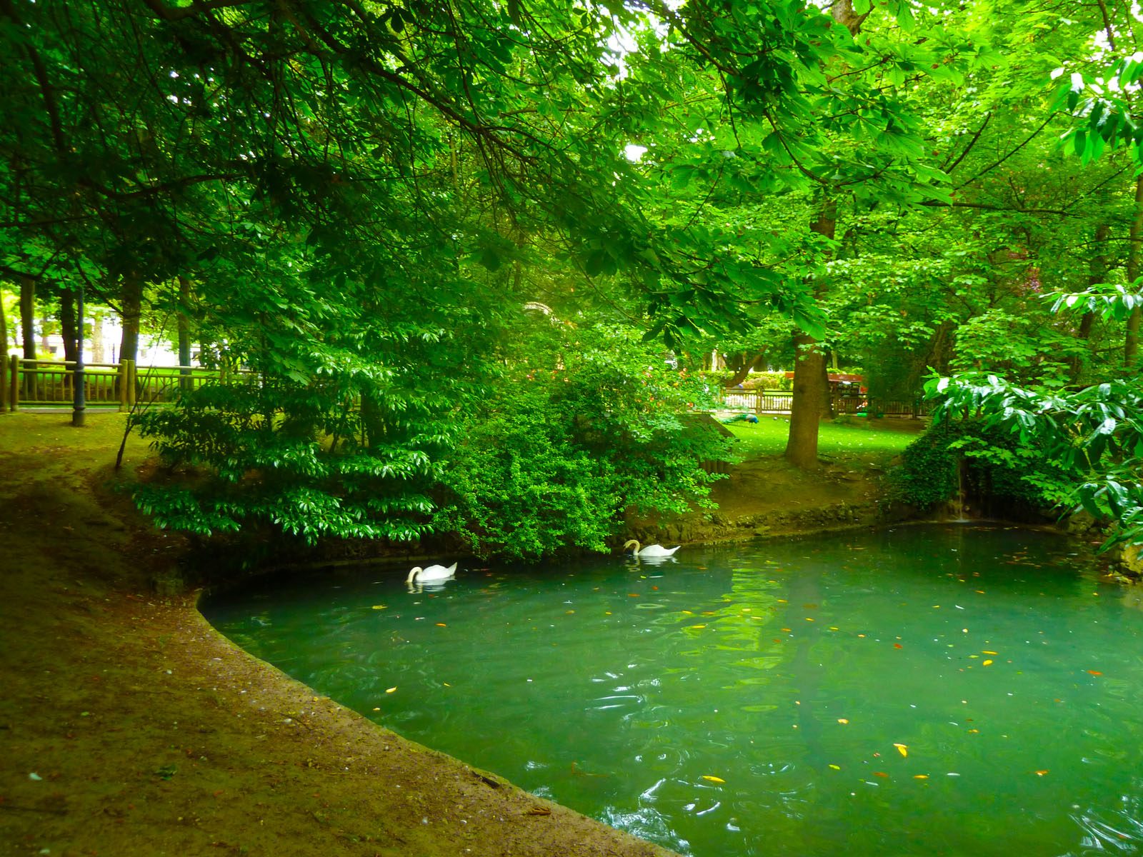 San Francisco Park pond