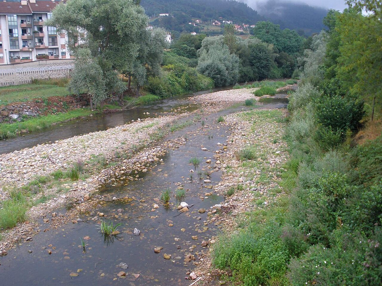 Río Cubia a su paso por Grado
