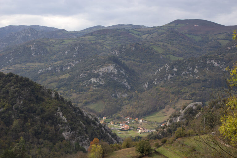 Proaza