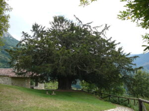 Quirós
