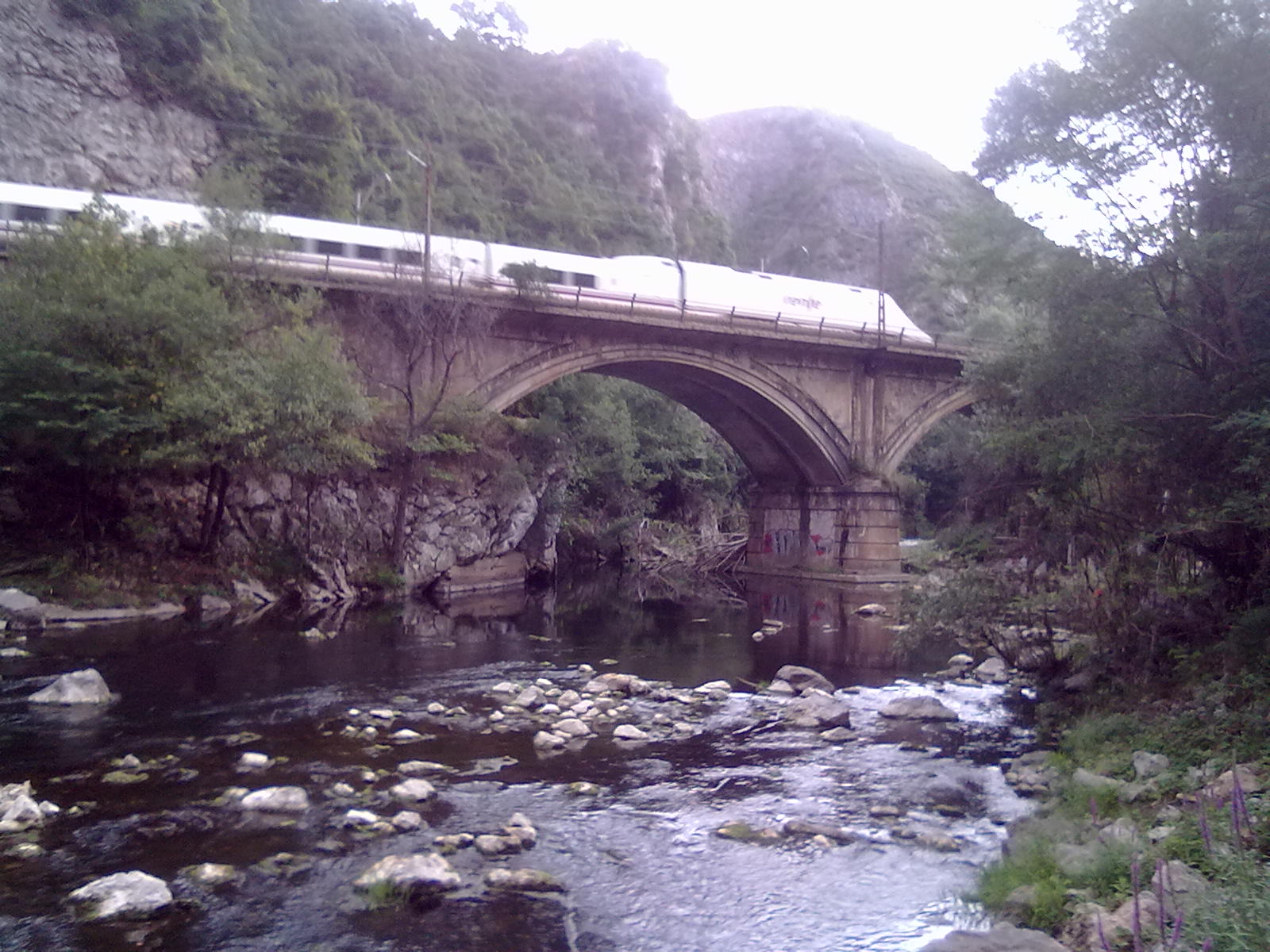 The river Nalón between Olloniego and Soto de Ribera.