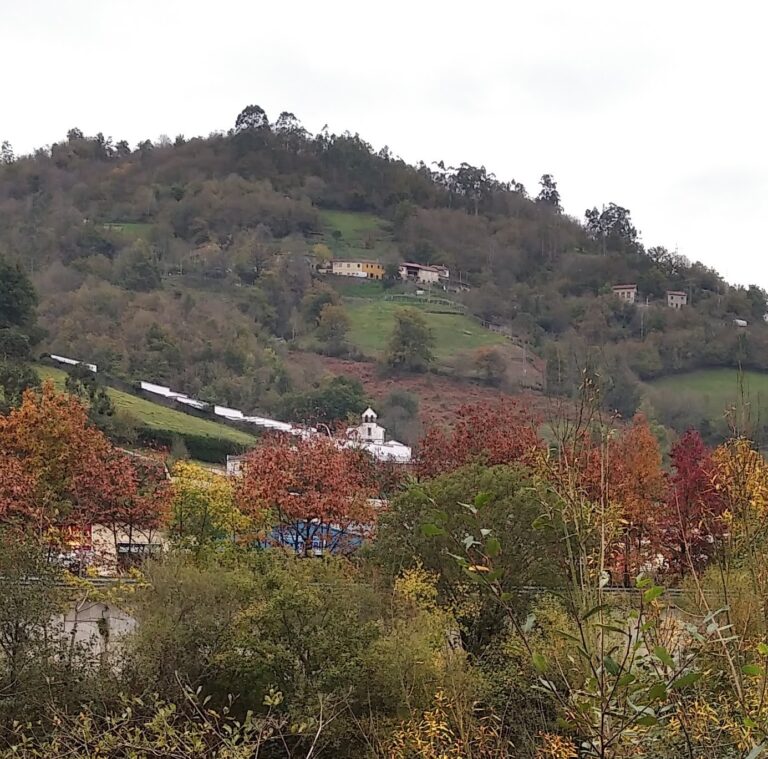 San Martín del Rey Aurelio