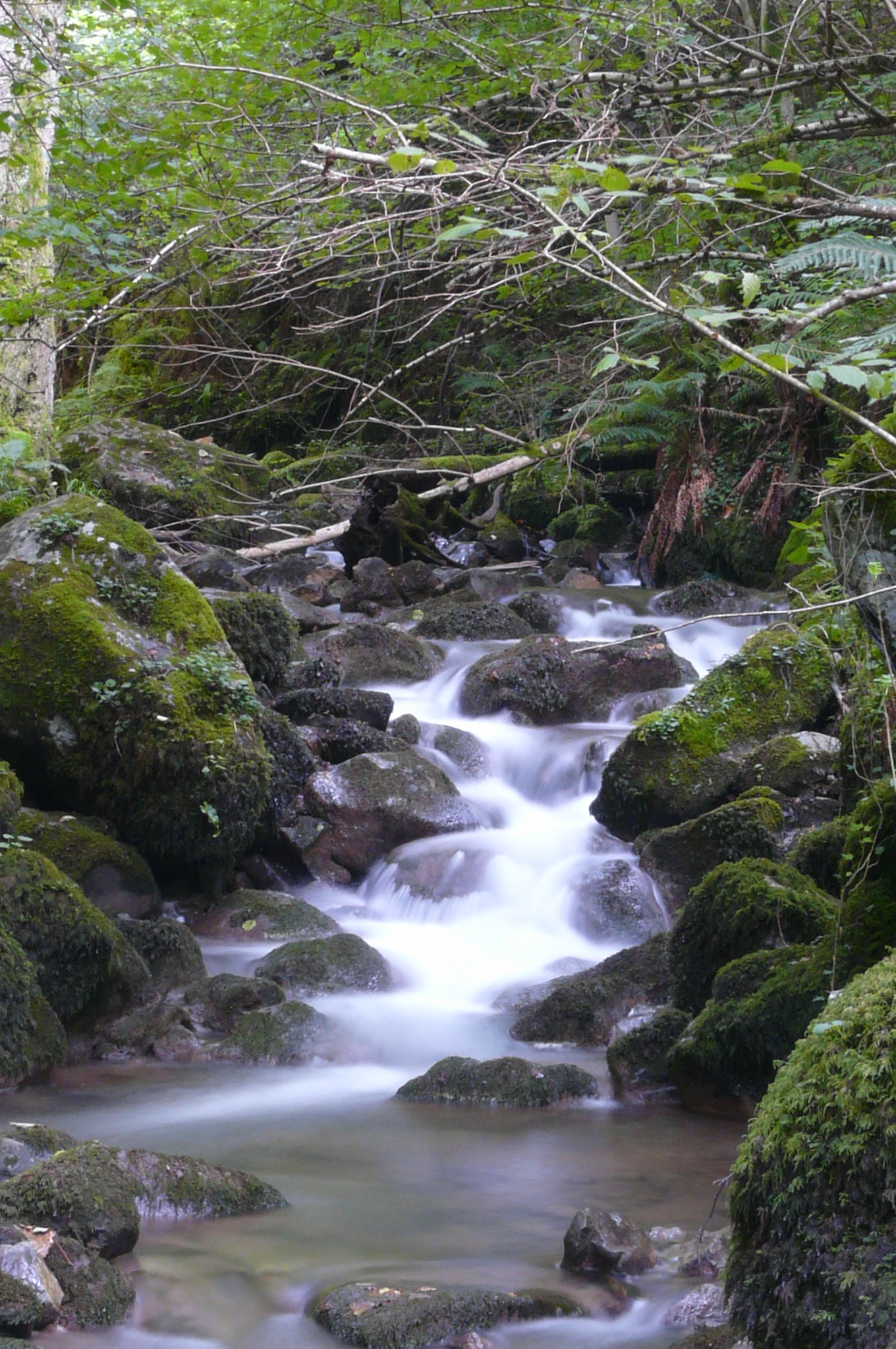 Xanas stream, in the municipality of Santo Adriano.