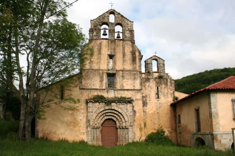Tineo